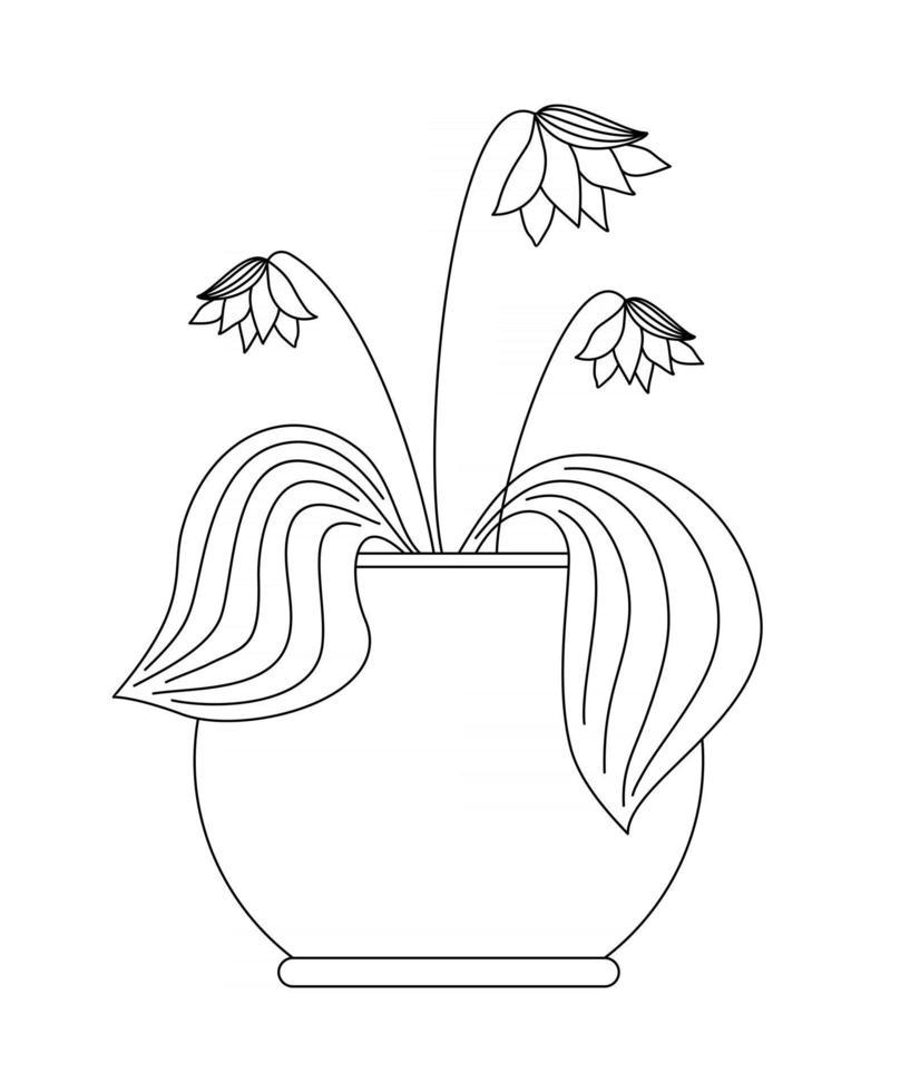 PAINTED LILY IN A POT ON A WHITE BACKGROUND vector