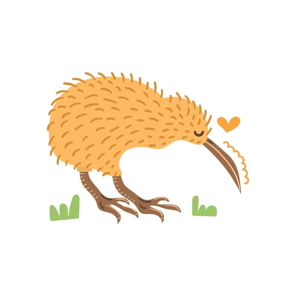 pájaro kiwi dibujado a mano. ilustración moderna plana. vector