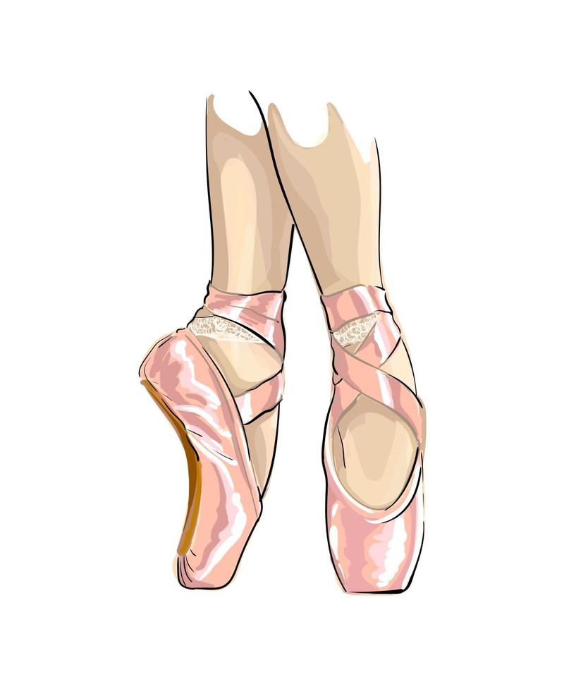 Legs of ballerina in ballet shoes , colored drawing, realistic. Vector illustration of paints