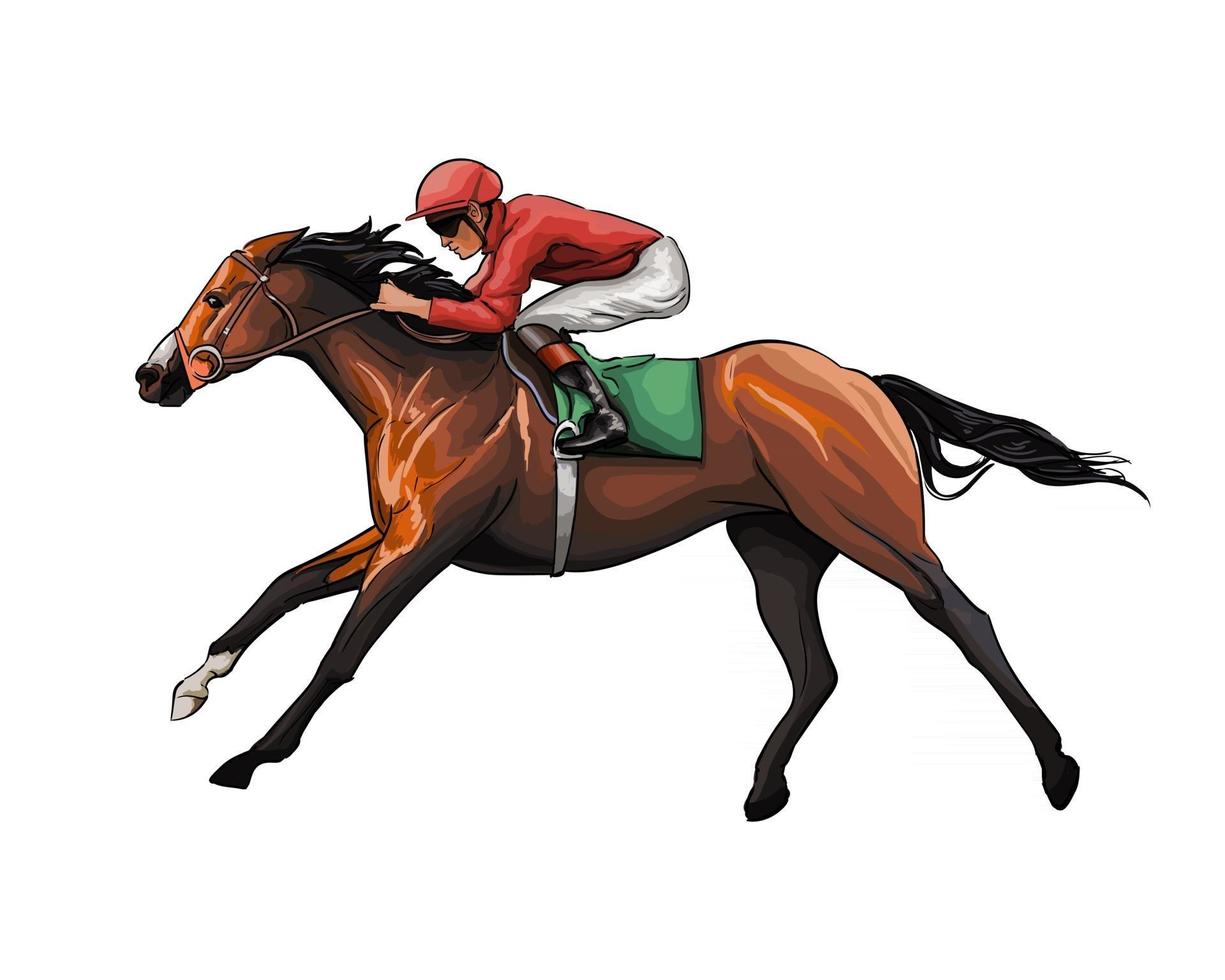 Horse racing with a jockey from splash of watercolors, colored drawing, realistic, Horseback riding. Vector illustration of paints