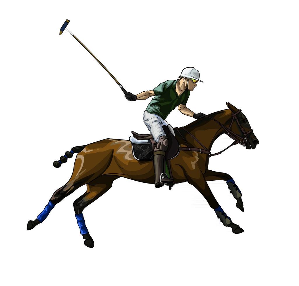 Equestrian polo with a jockey from splash of watercolors, colored drawing, realistic, Horseback riding. Vector illustration of paints