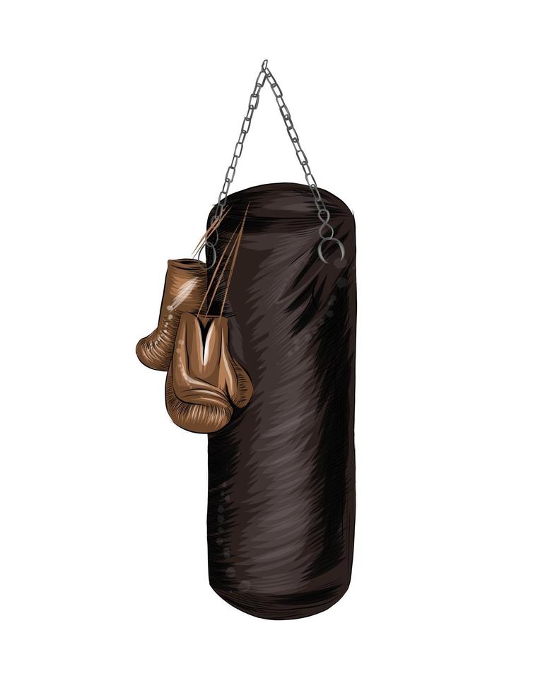 Boxing gloves and punching bag, colored drawing, realistic. Vector illustration of paints