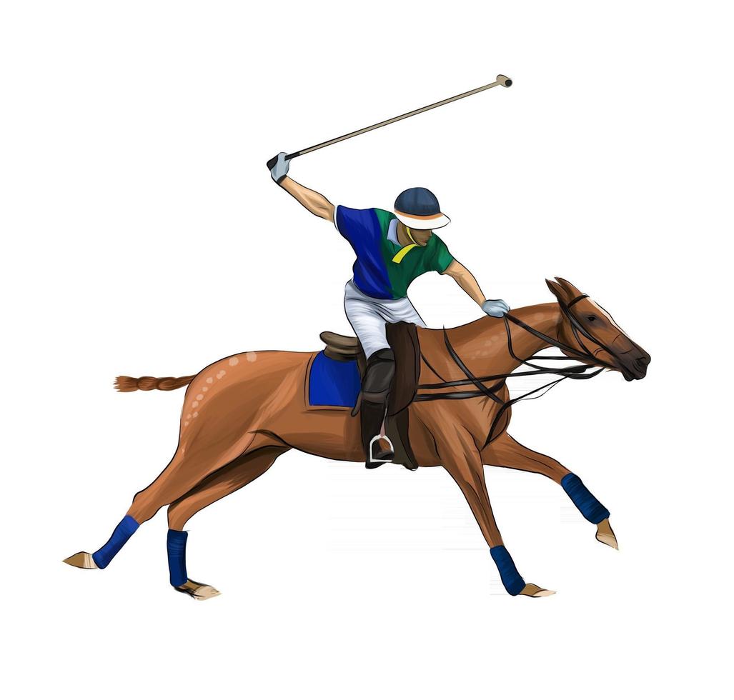 polo ecuestre con jockey de salpicaduras de acuarelas, dibujo coloreado, realista, cabalgatas. ilustración vectorial de pinturas vector