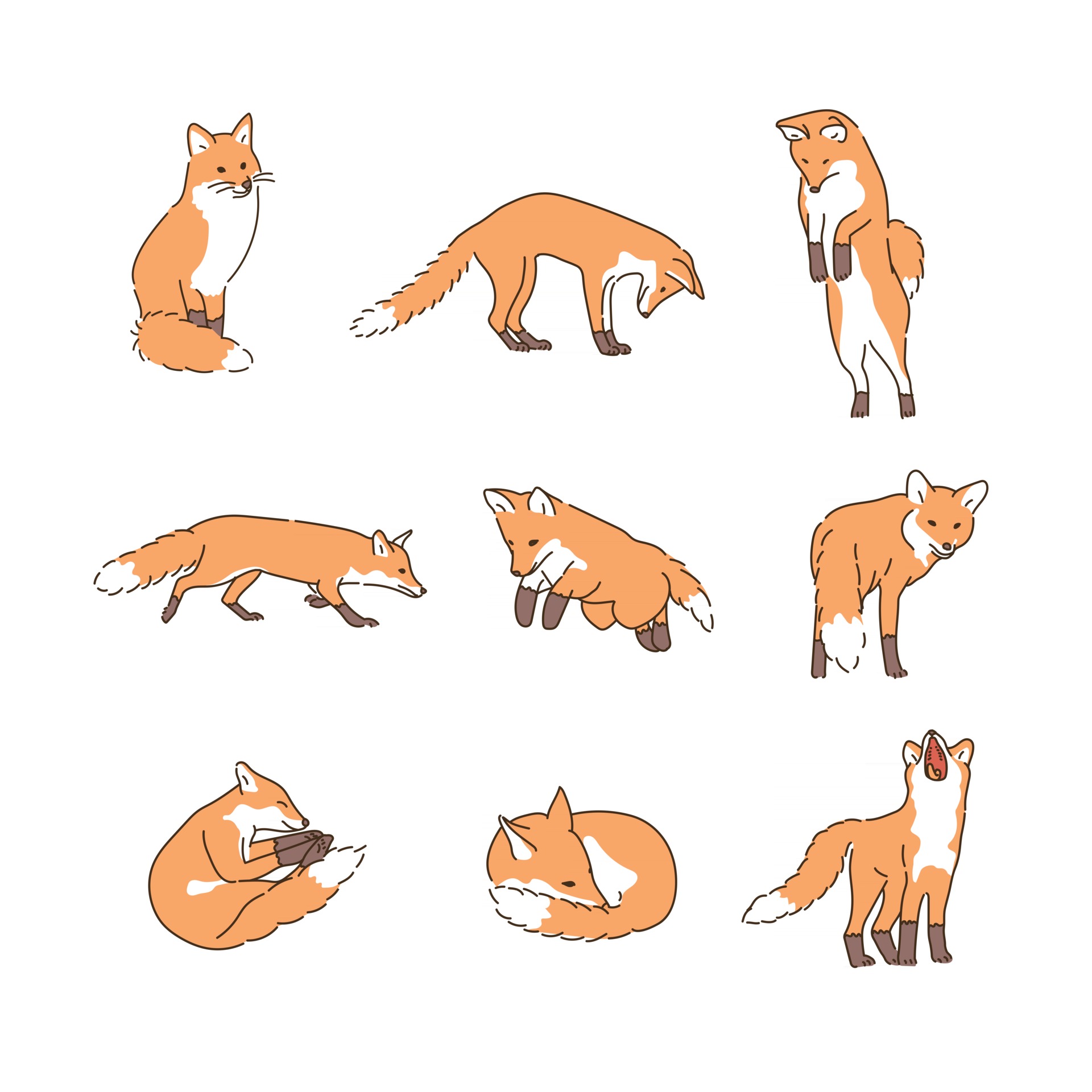 Various poses of the fox. hand drawn style vector design illustrations