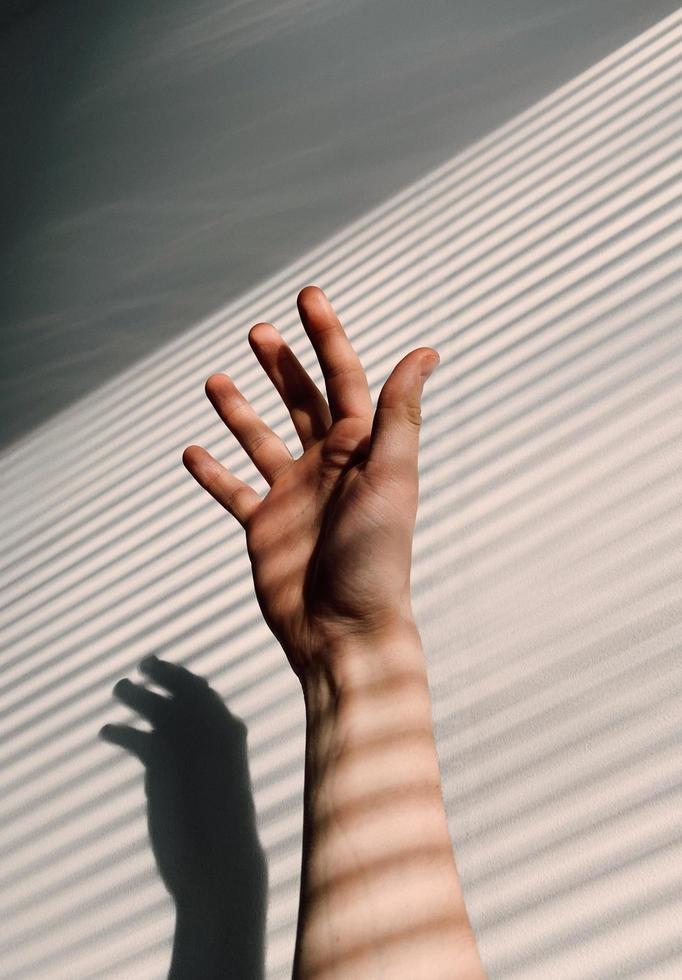 A view of shadows from blinds on a person's arm photo