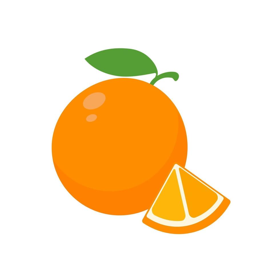 Orange fruit vector. vector