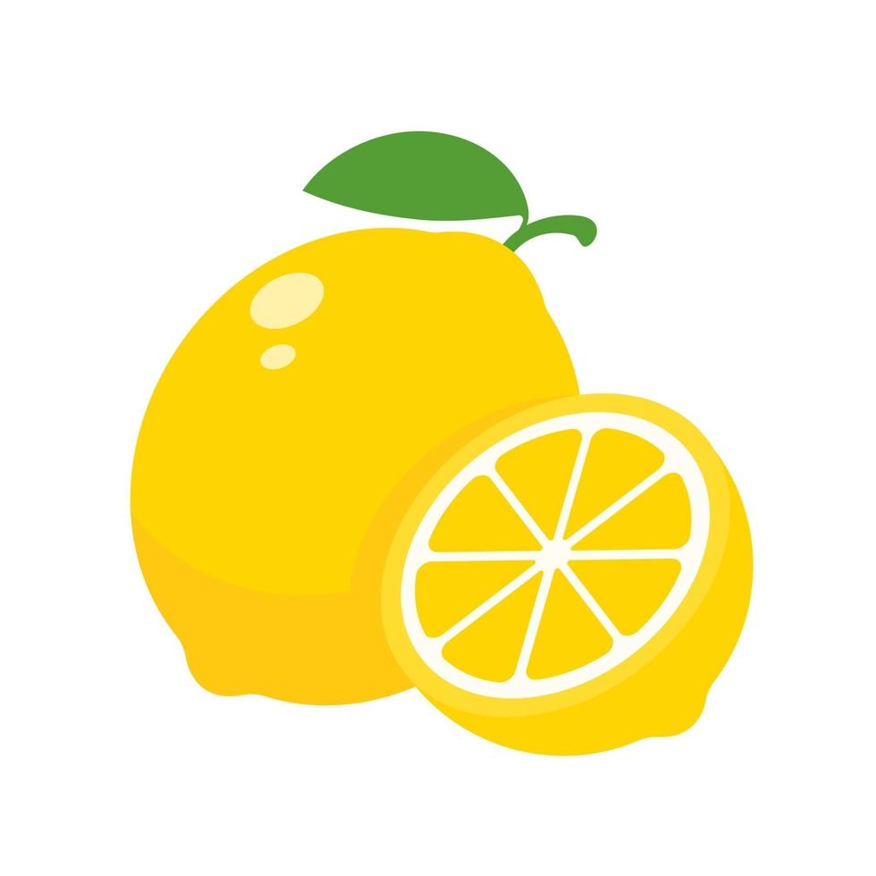 Sour yellow lemons. High vitamin C lemons are cut into slices for summer lemonade. vector