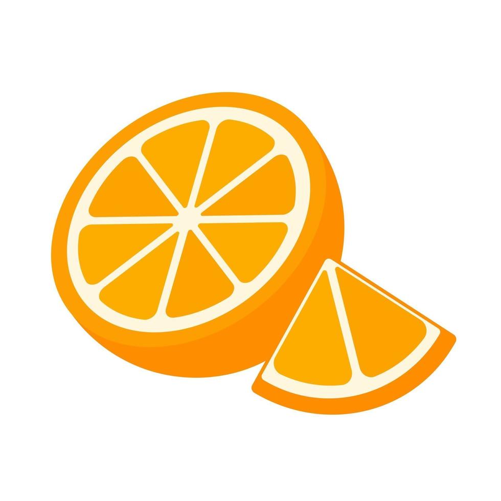 Orange fruit vector. vector