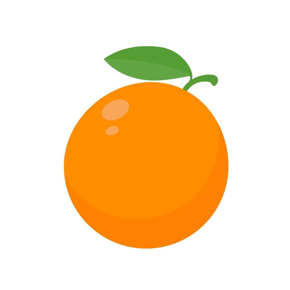 Orange fruit vector. vector