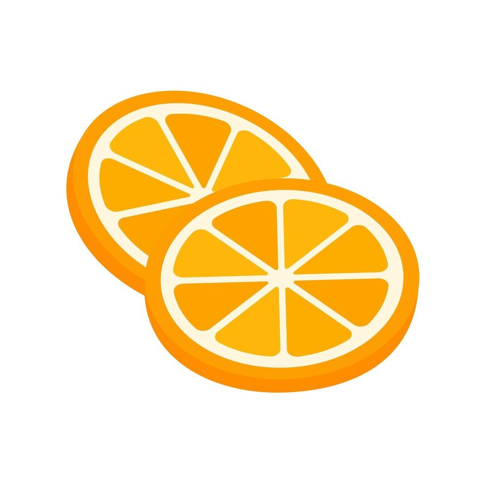 Orange fruit vector. vector