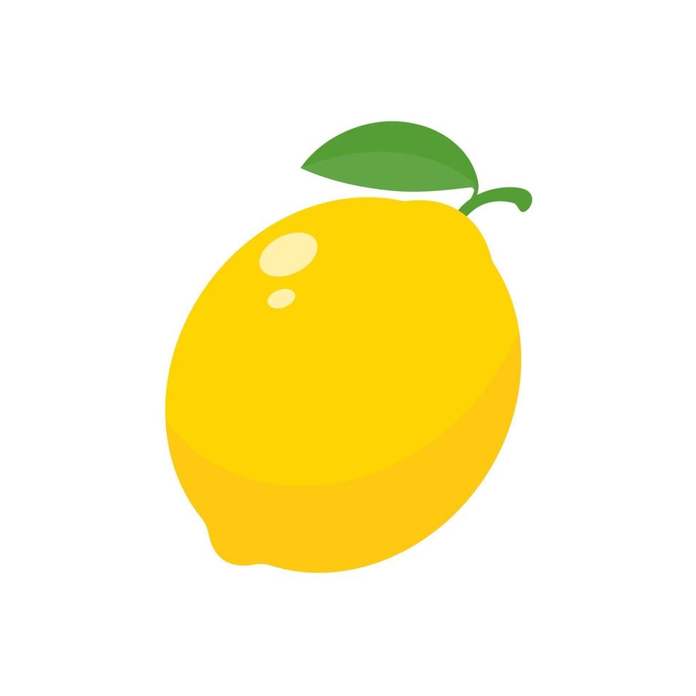 Sour yellow lemons. High vitamin C lemons are cut into slices for summer lemonade. vector