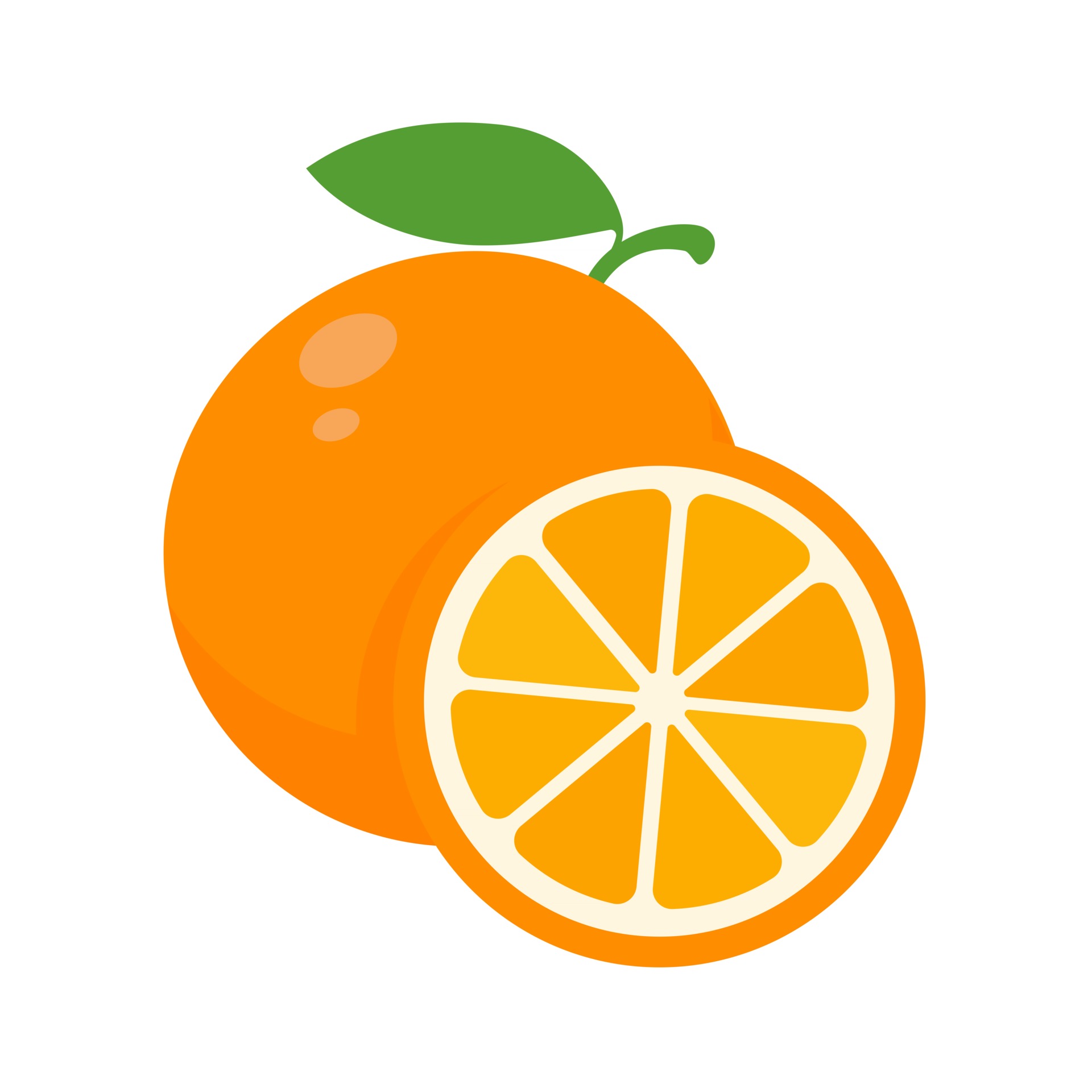 orange fruit vector png