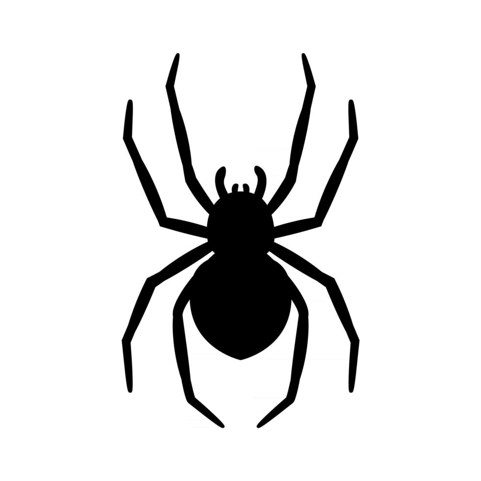 silhouette of a spider hanging from a web Abandoned House Horror Ideas for Halloween vector