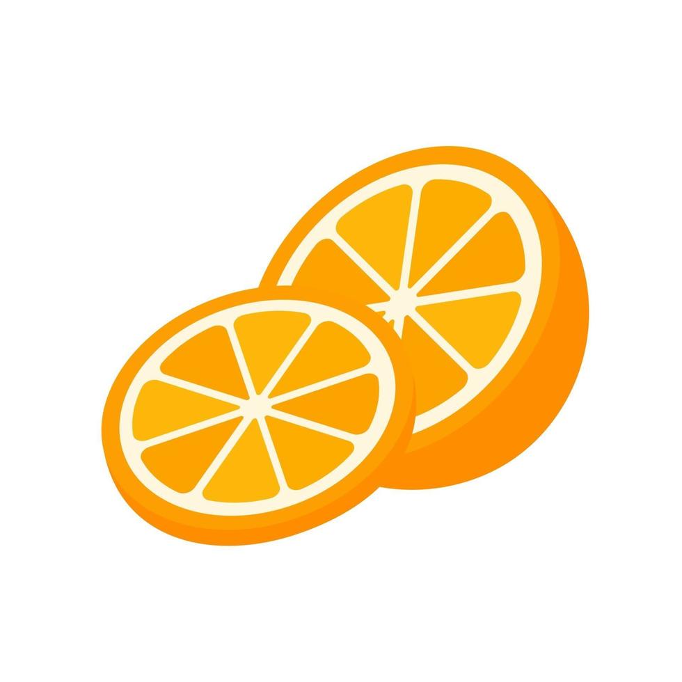 Orange fruit vector. vector