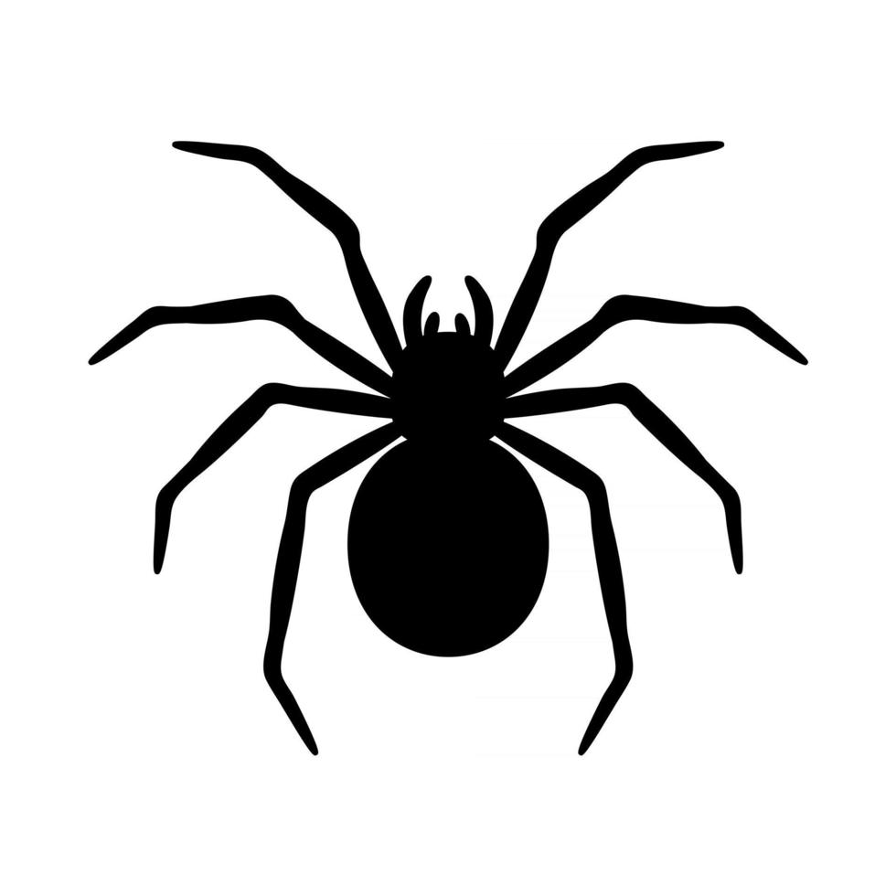 silhouette of a spider hanging from a web Abandoned House Horror Ideas for Halloween vector