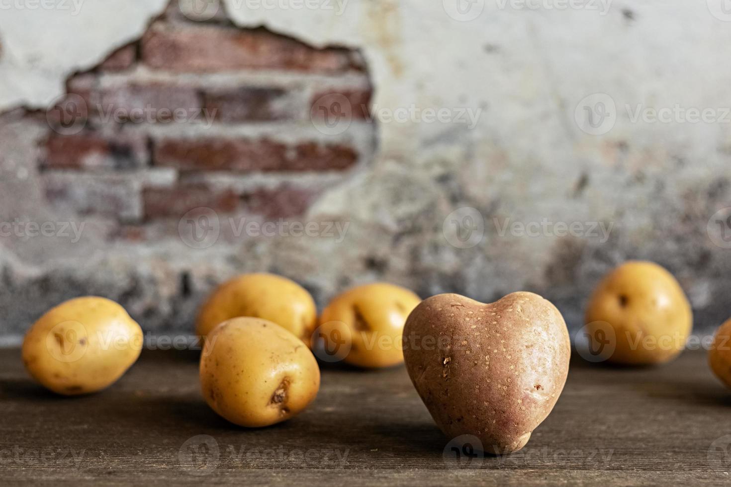 Heart shaped red potato amongst white potatoes on vintage background photo