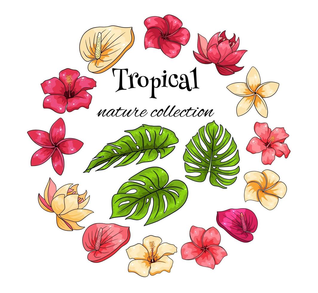 colección tropical con flores exóticas y hojas talladas en estilo de dibujos animados vector