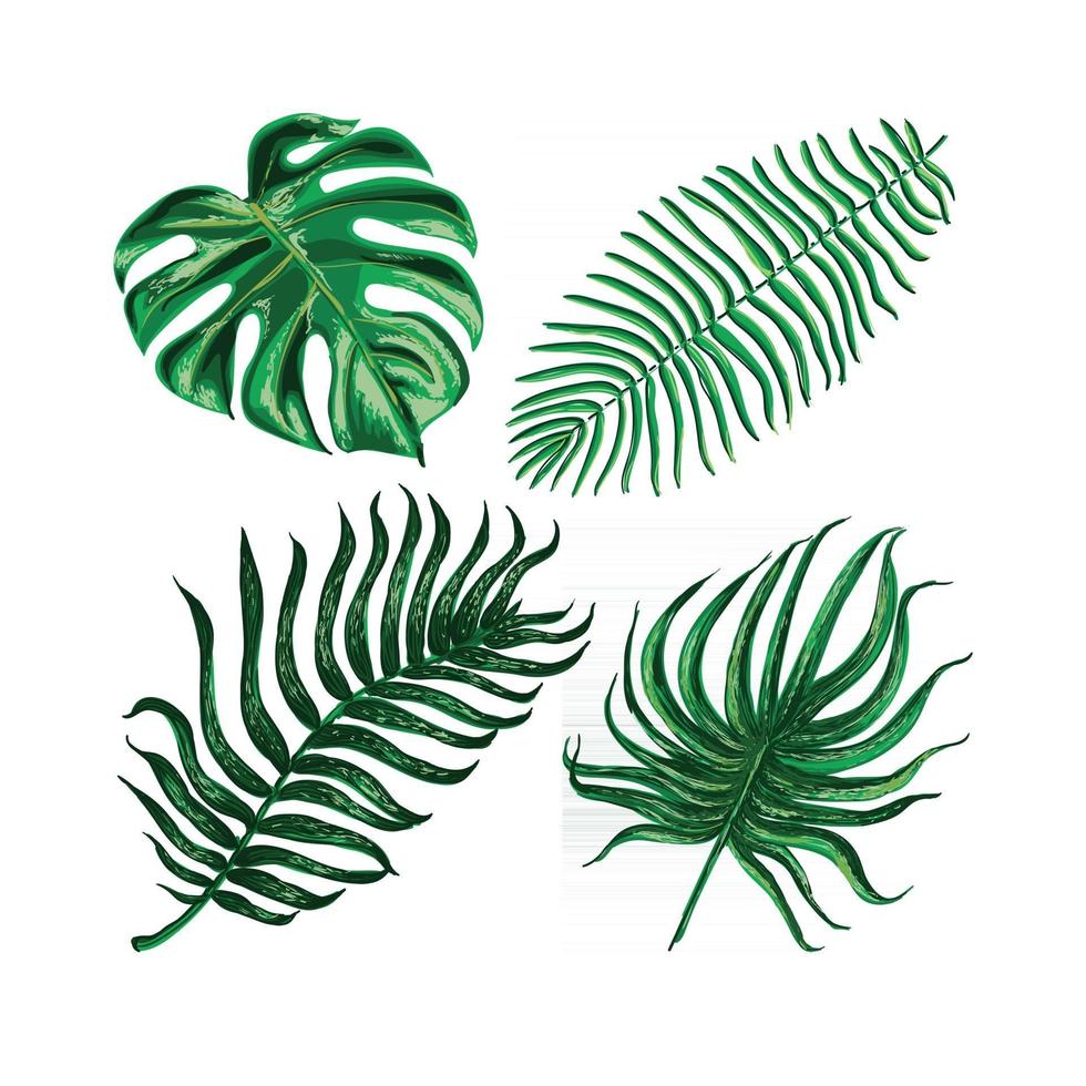 Vector colorful artistic set with tropical exotic leaves