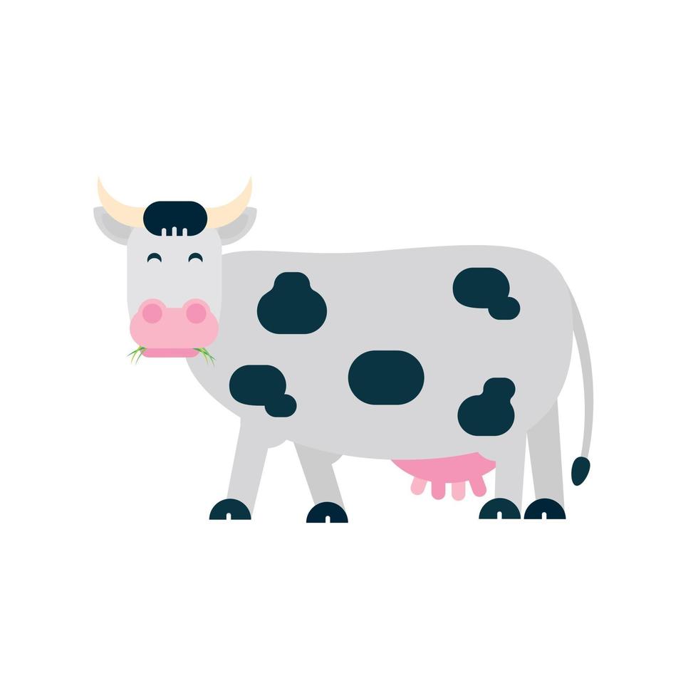 Black white spotted cow stand and chew with grass in its mouth flat style vector illustration isolated on white background. Symbol of the milk producing