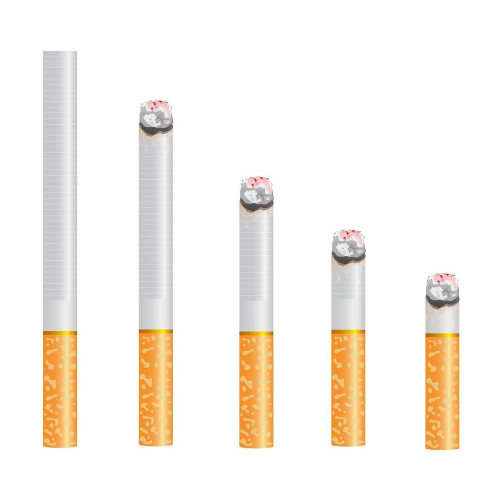 Realistic design of 5 various sizes of cigarette. Burning and no burning 3d design style vector illustration isolated on white background.