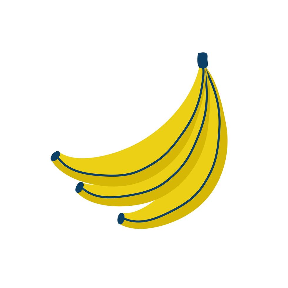 banana fresh fruit vector