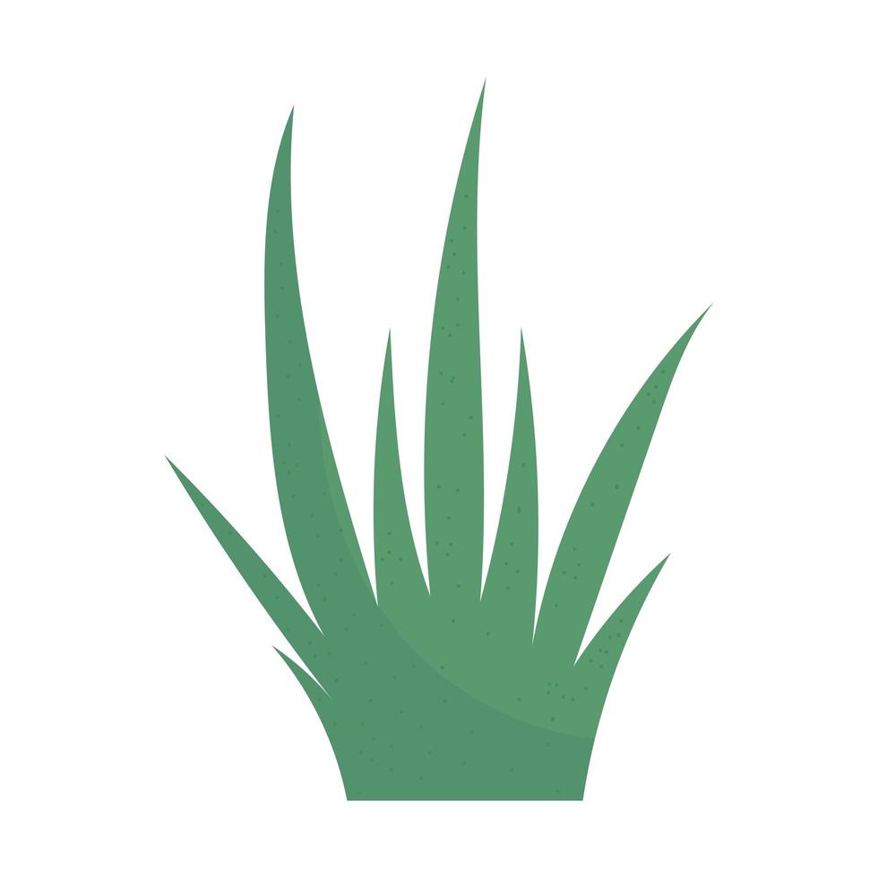 leaves nature frond vector