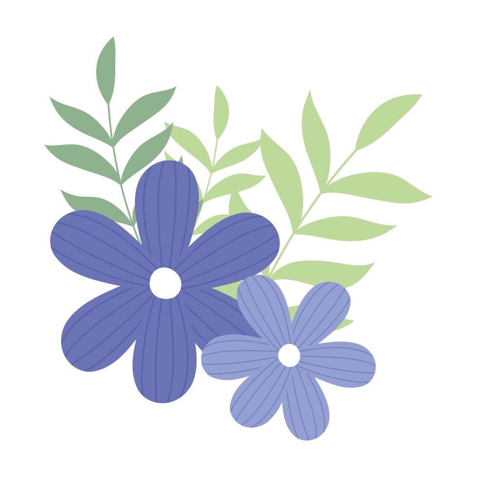 purple flowers branch foliage white background vector