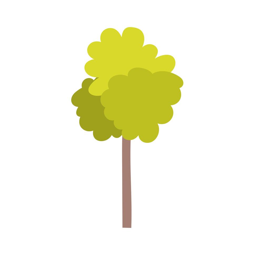 tree frond vegetation vector