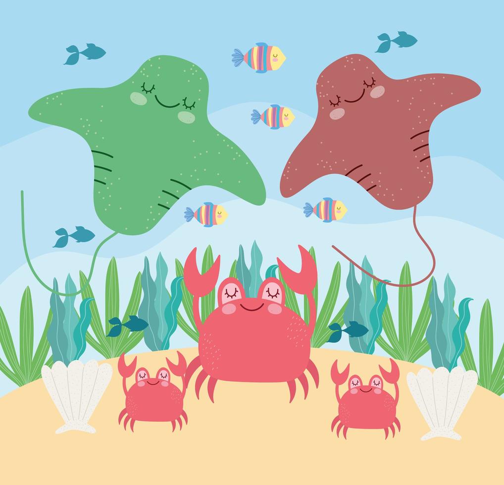 stingray crabs underwater vector