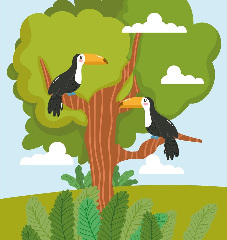 Animals toucan tree vector