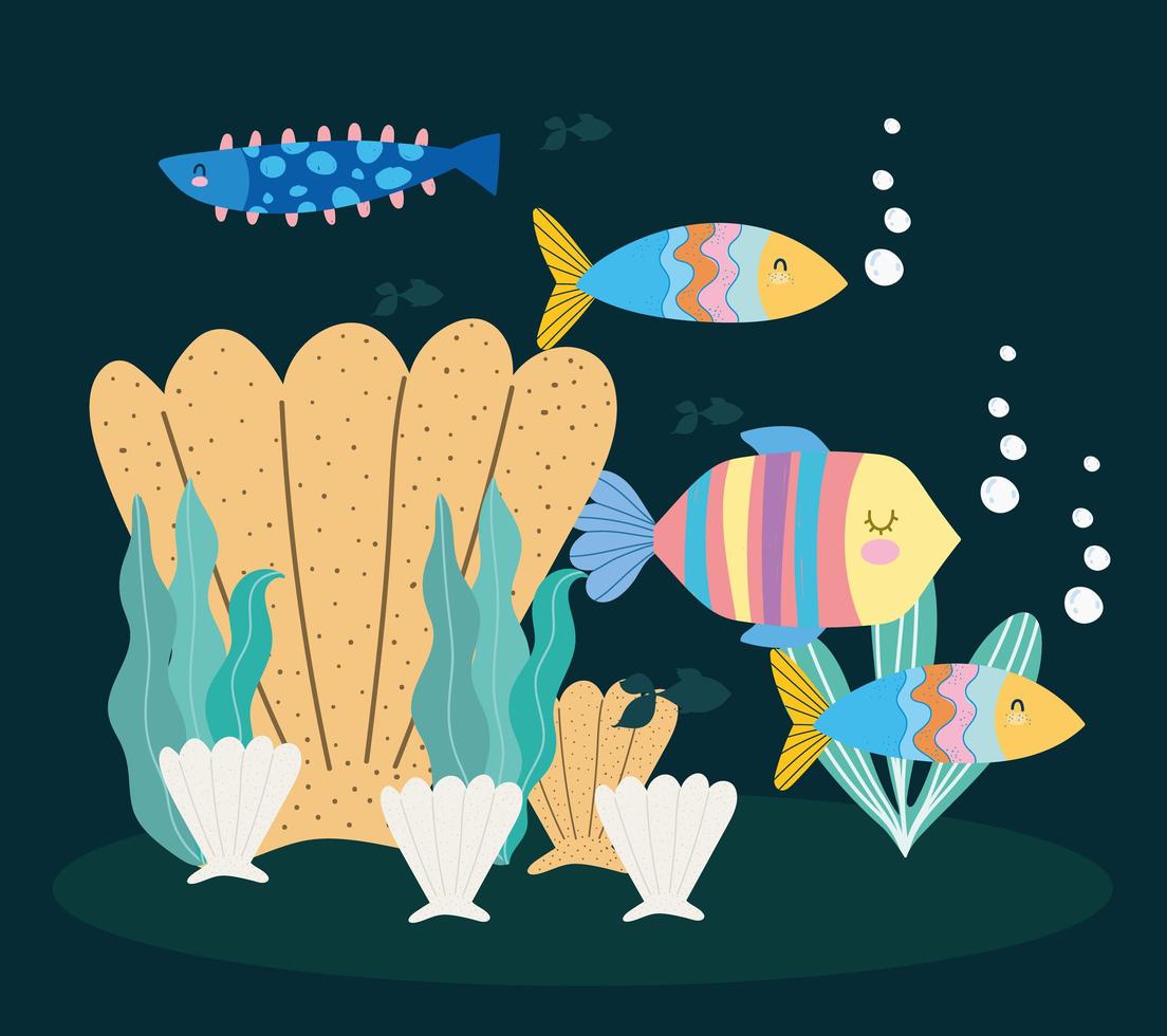 underwater seashells fishes vector