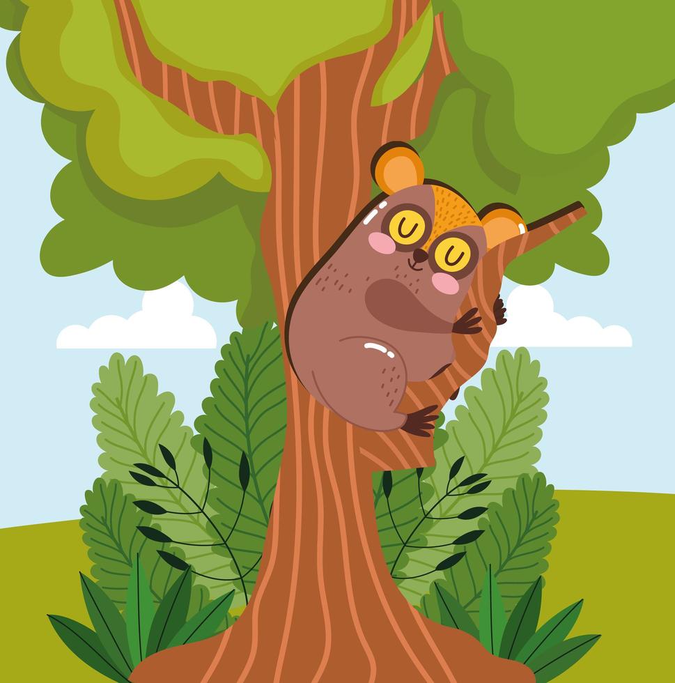 Animal tarsier monkey vector