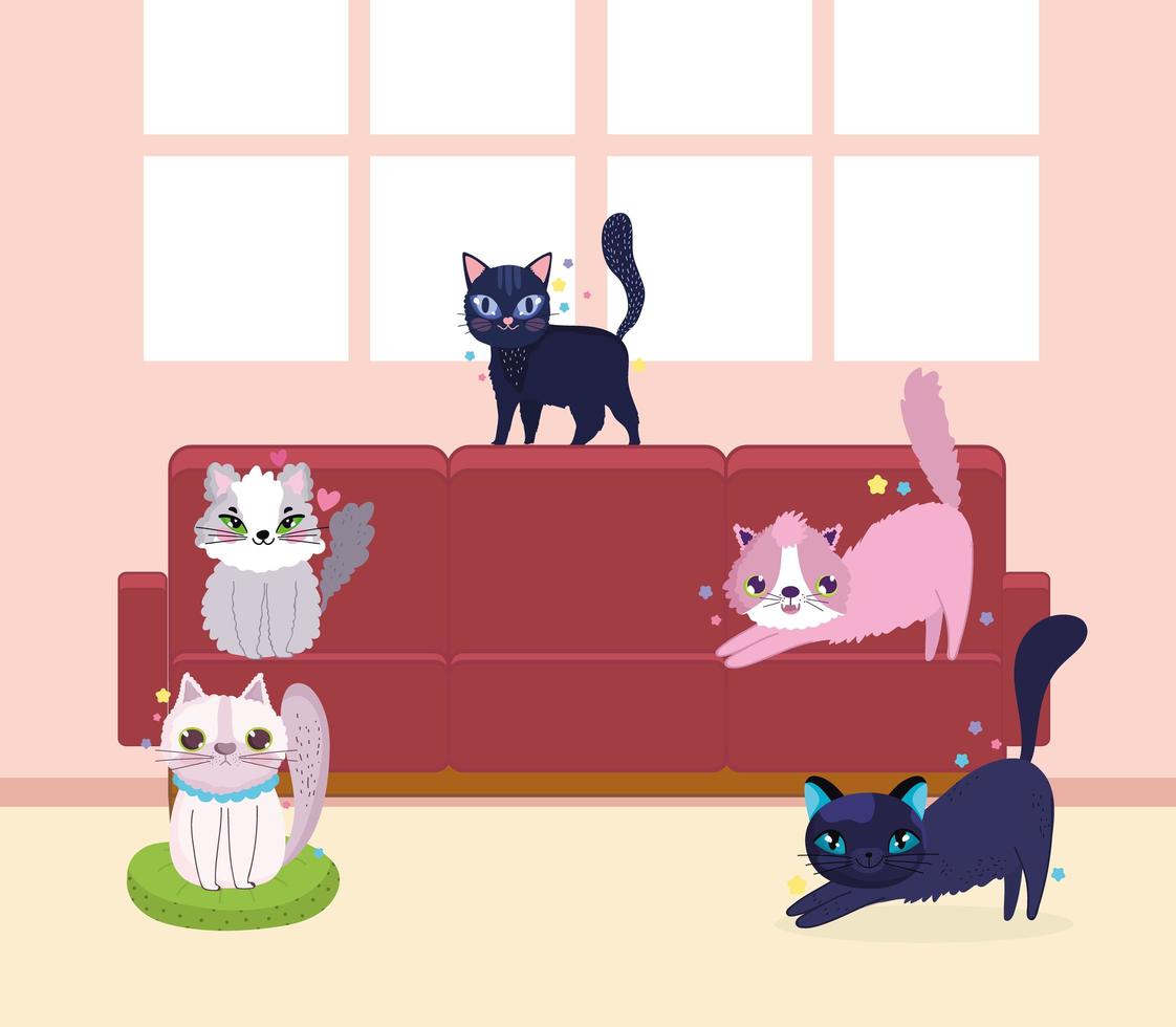 funny cats pet animals domestic in the sofa vector