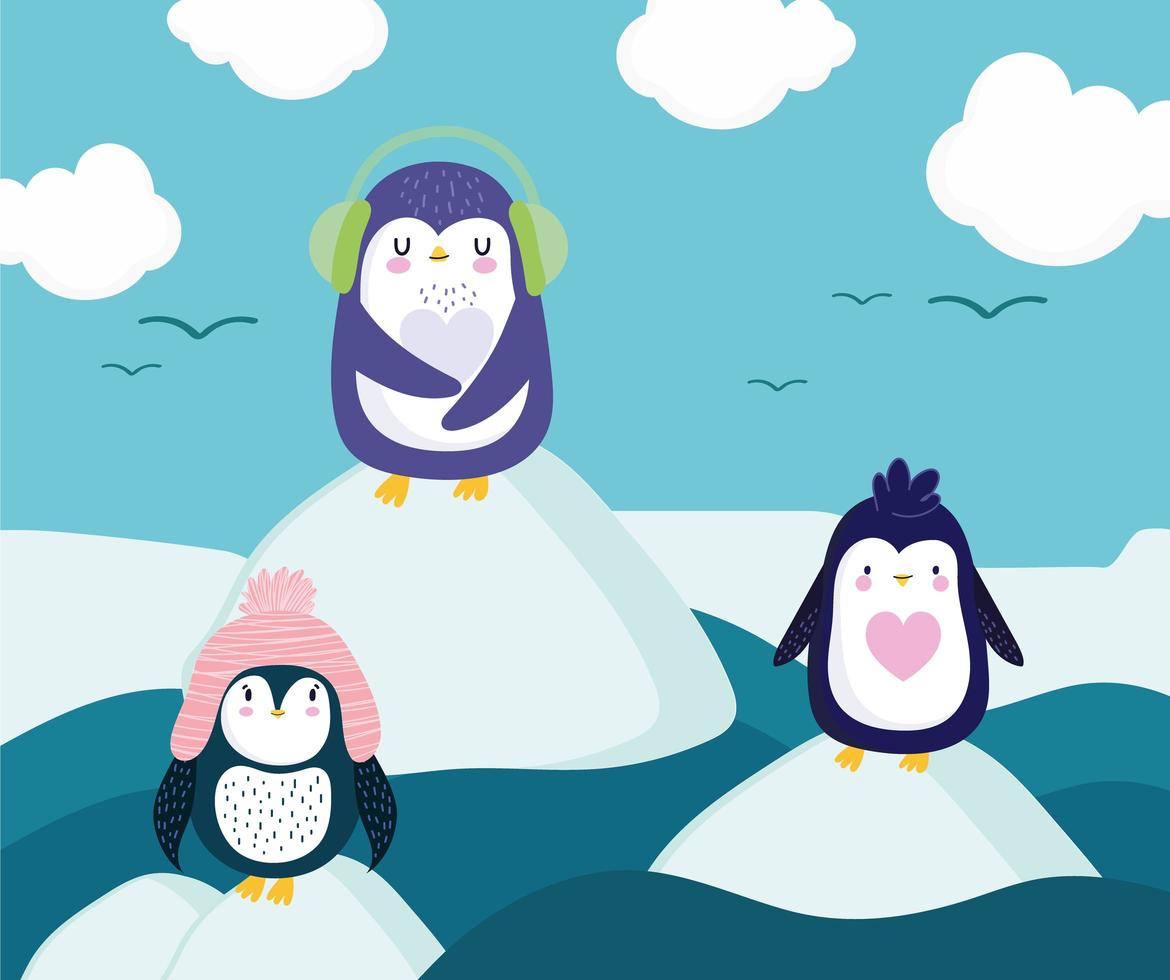 penguins in ice vector