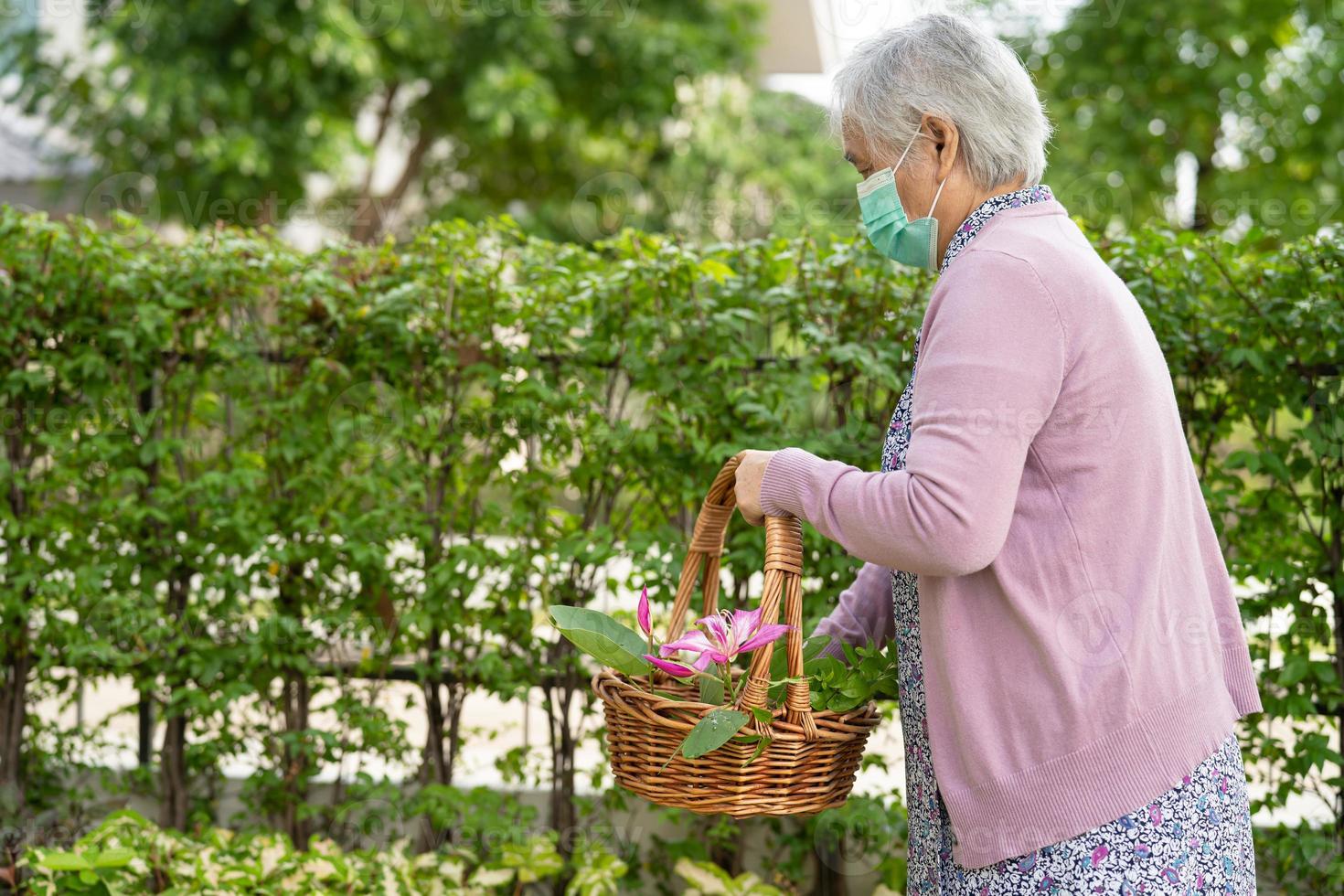 Asian senior or elderly old lady woman taking care of the garden work in home, hobby to relax and exercising with happy. photo