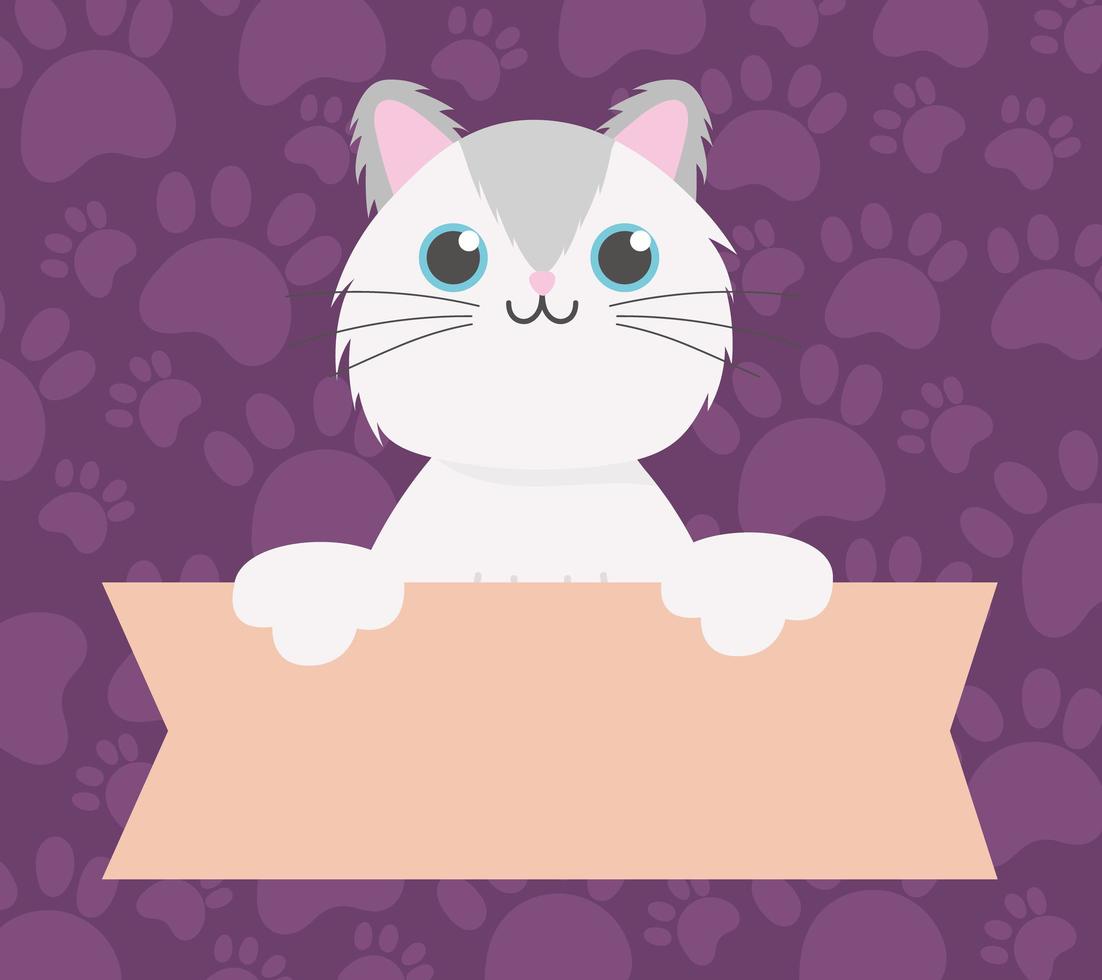 pet cat with banner, animal cartoon domestic vector