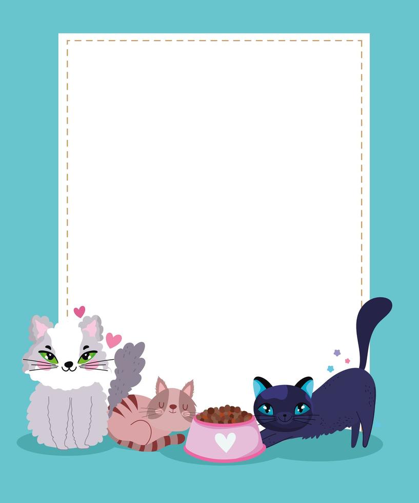 cute cats with food bowl and empty blank banner vector