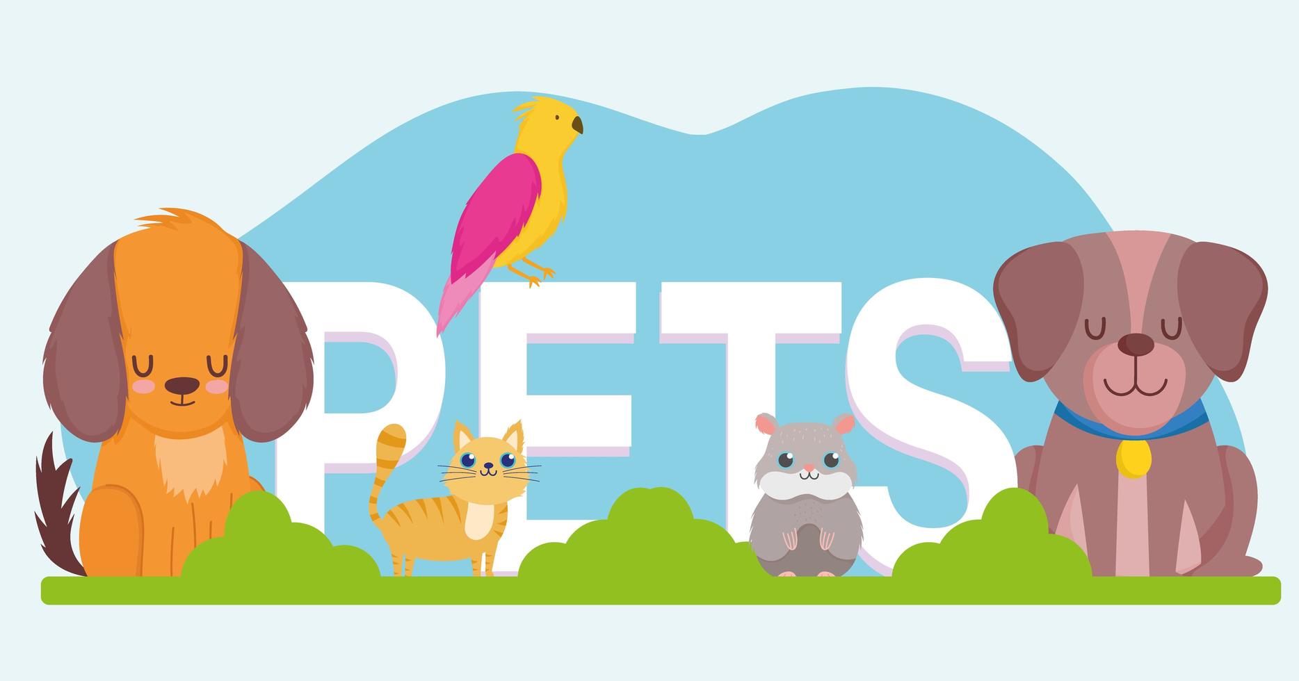 pets word, cute dog cat hamster and parrot animals 2760757 Vector Art at  Vecteezy