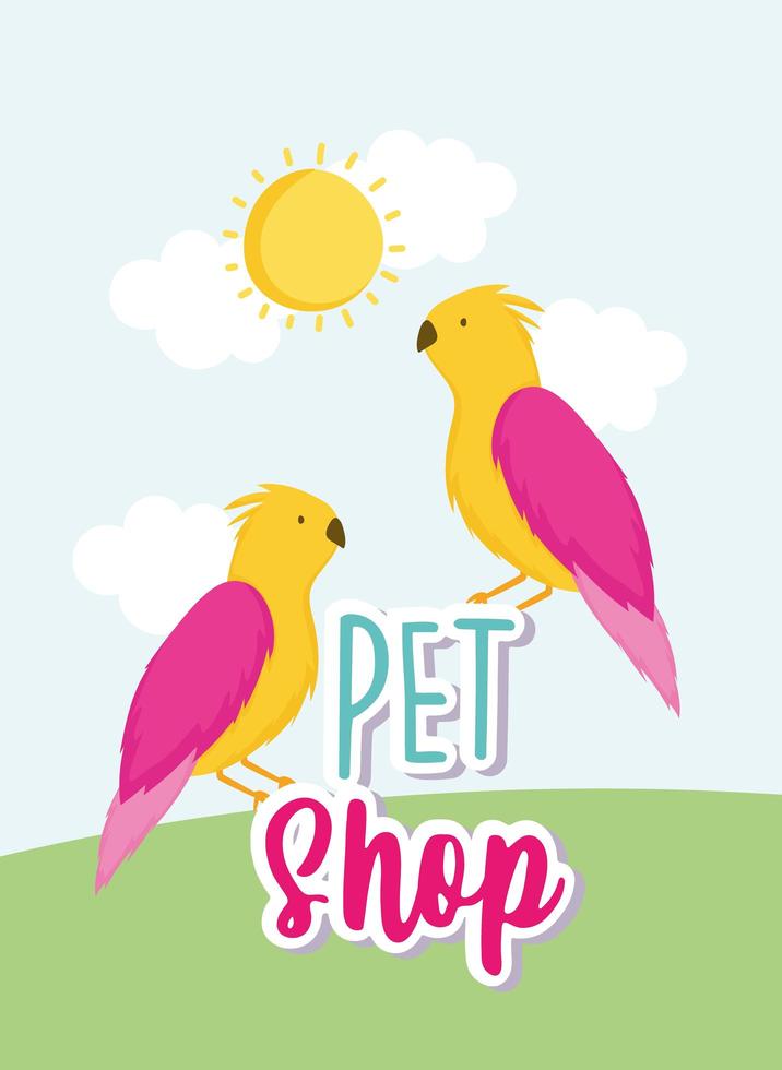 parrots birds cartoon animals lettering pet shop vector