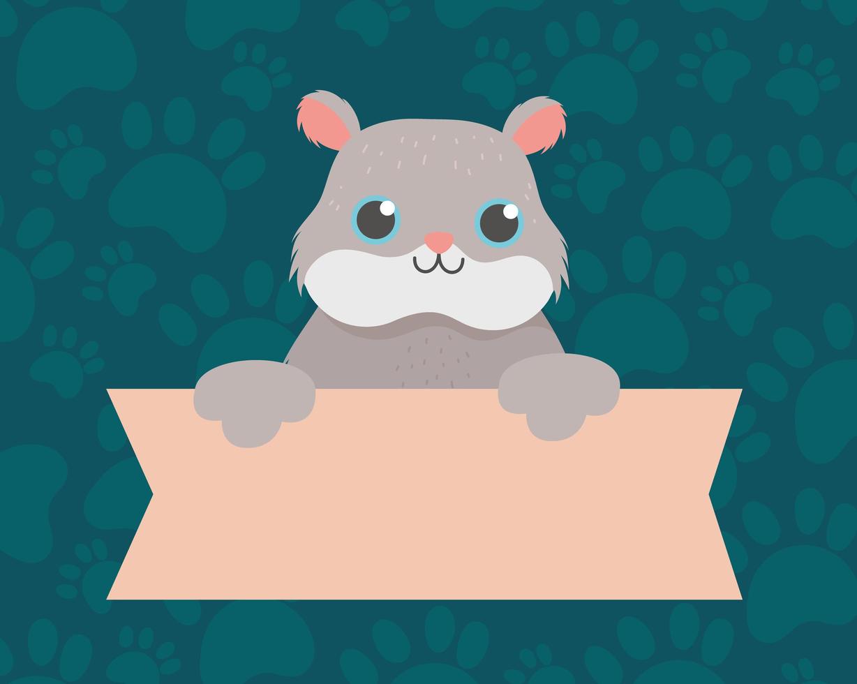 pet cute hamster with banner, animal cartoon domestic vector