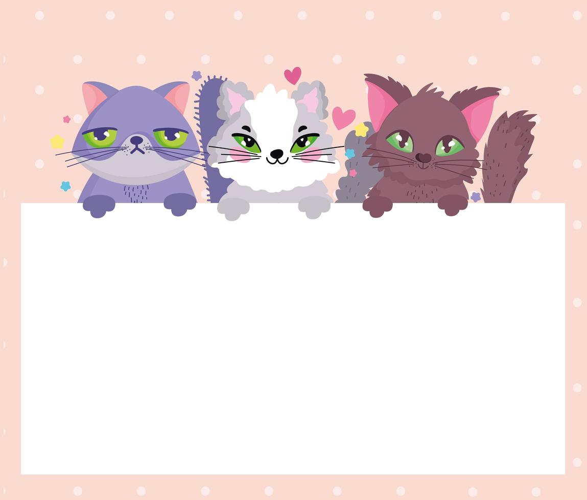 adorable cats pet animals with banner vector