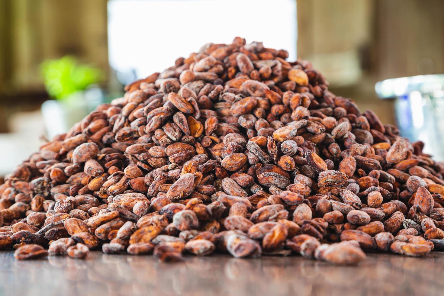 Raw cocoa beans on a wooden table photo