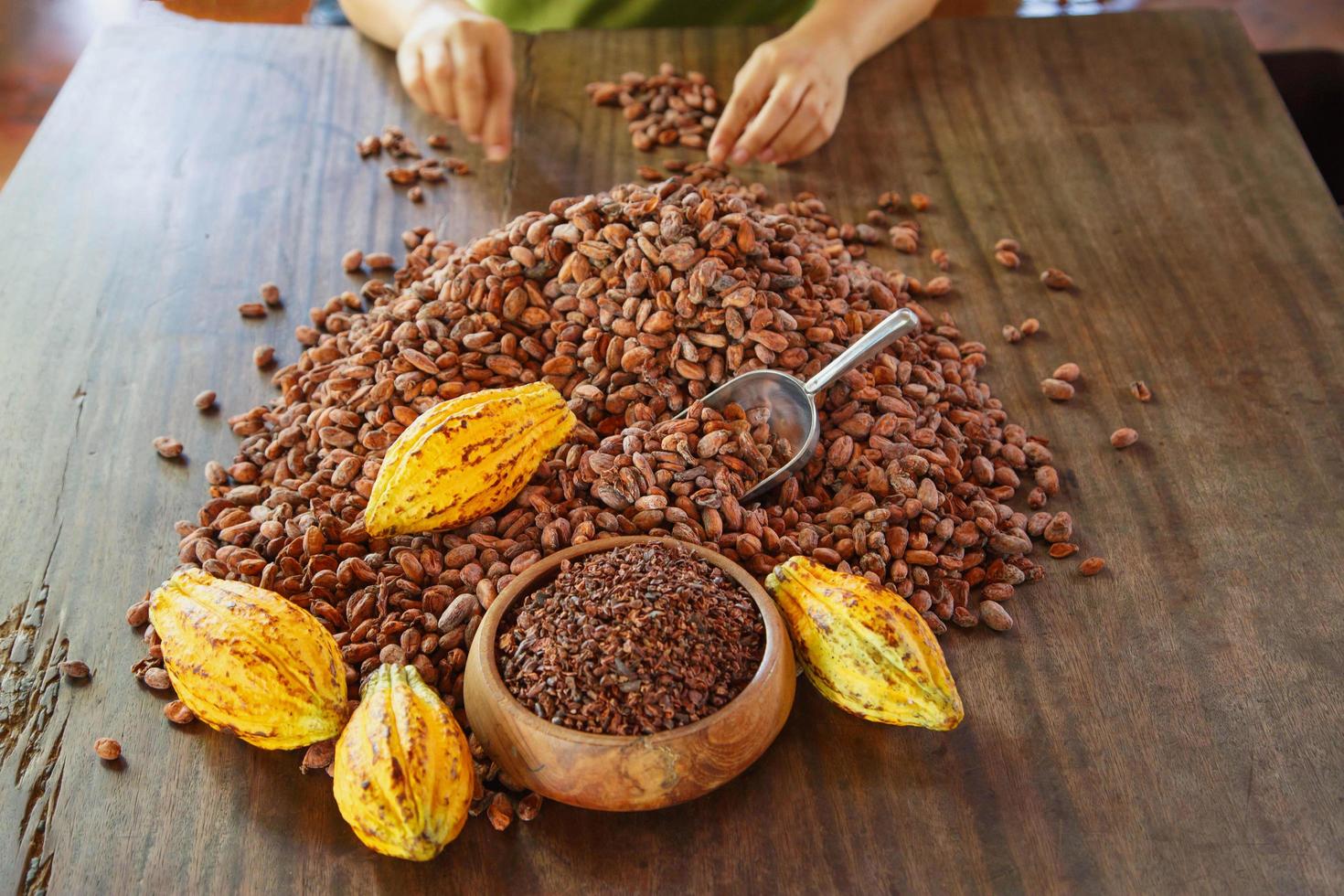 cocoa nibs and cocoa fruit on wooden table photo