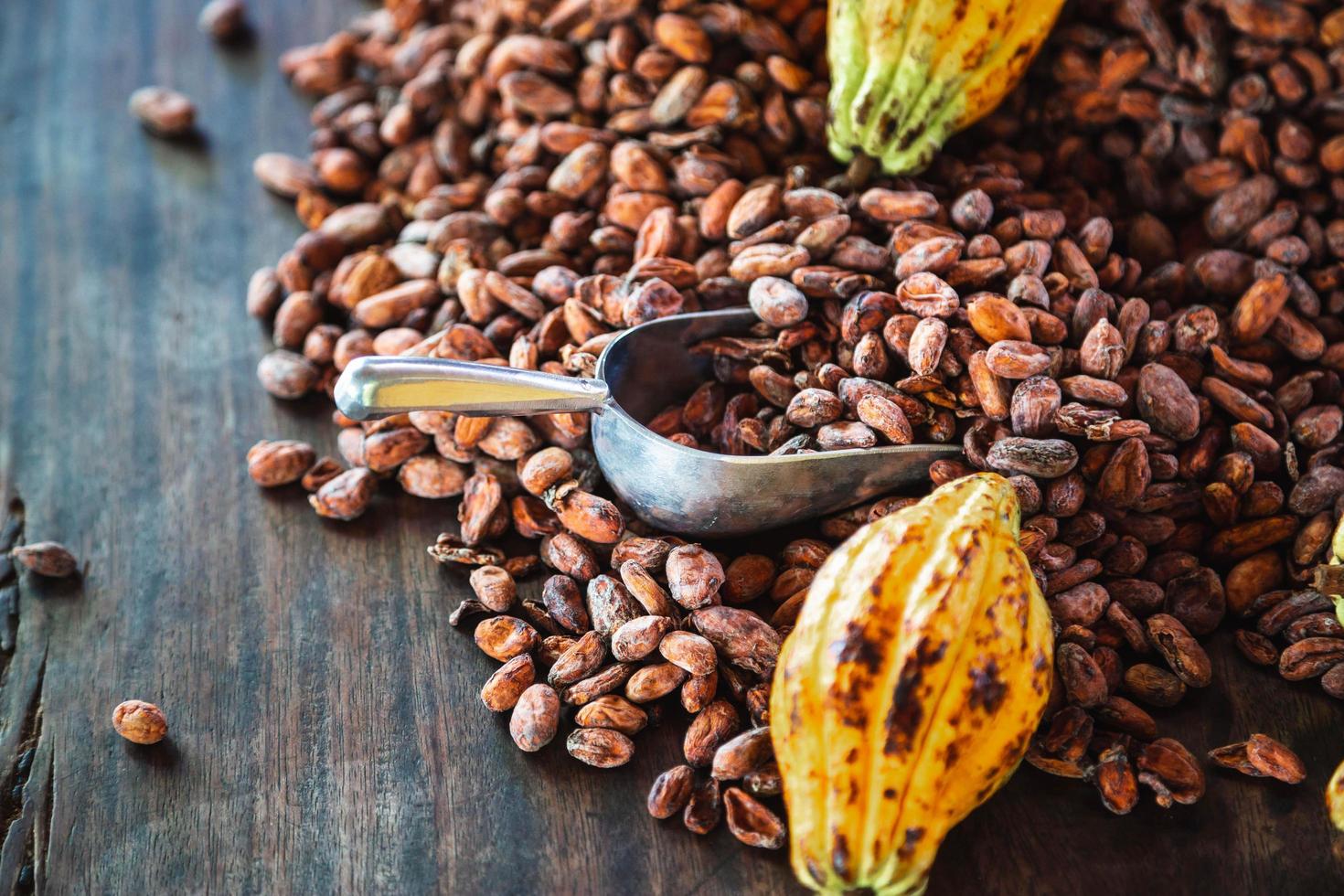 Las mazorcas de cacao y granos de cacao sobre un fondo de madera foto