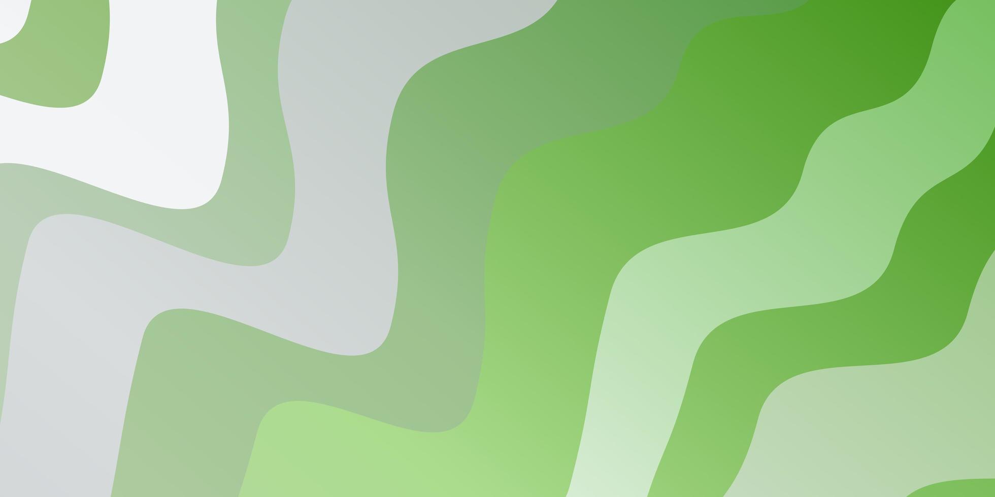 Fondo de vector verde claro con arcos. muestra brillante con formas y líneas curvas de colores. mejor diseño para su anuncio, cartel, banner.
