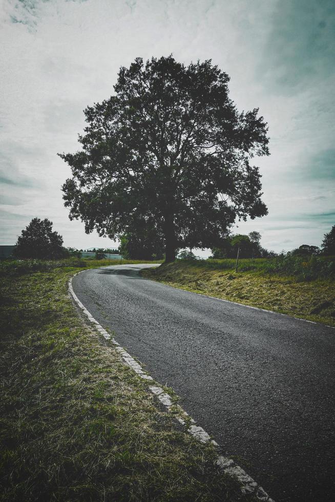 Rural road in Bilbao, Spain photo