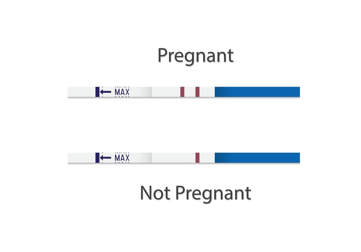 Pregnancy test strips. Negative and positive option. Set for pregnant women. Vector Illustration