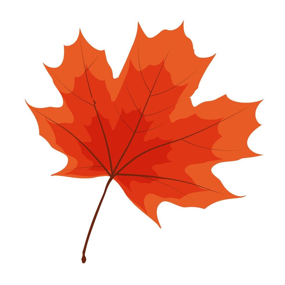 Autumn Natural Leaf Icon Vector Illustration