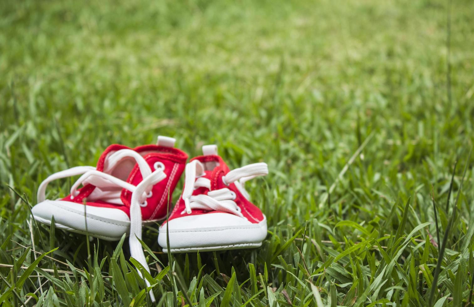 Cute red small canvas shoes on the grass photo