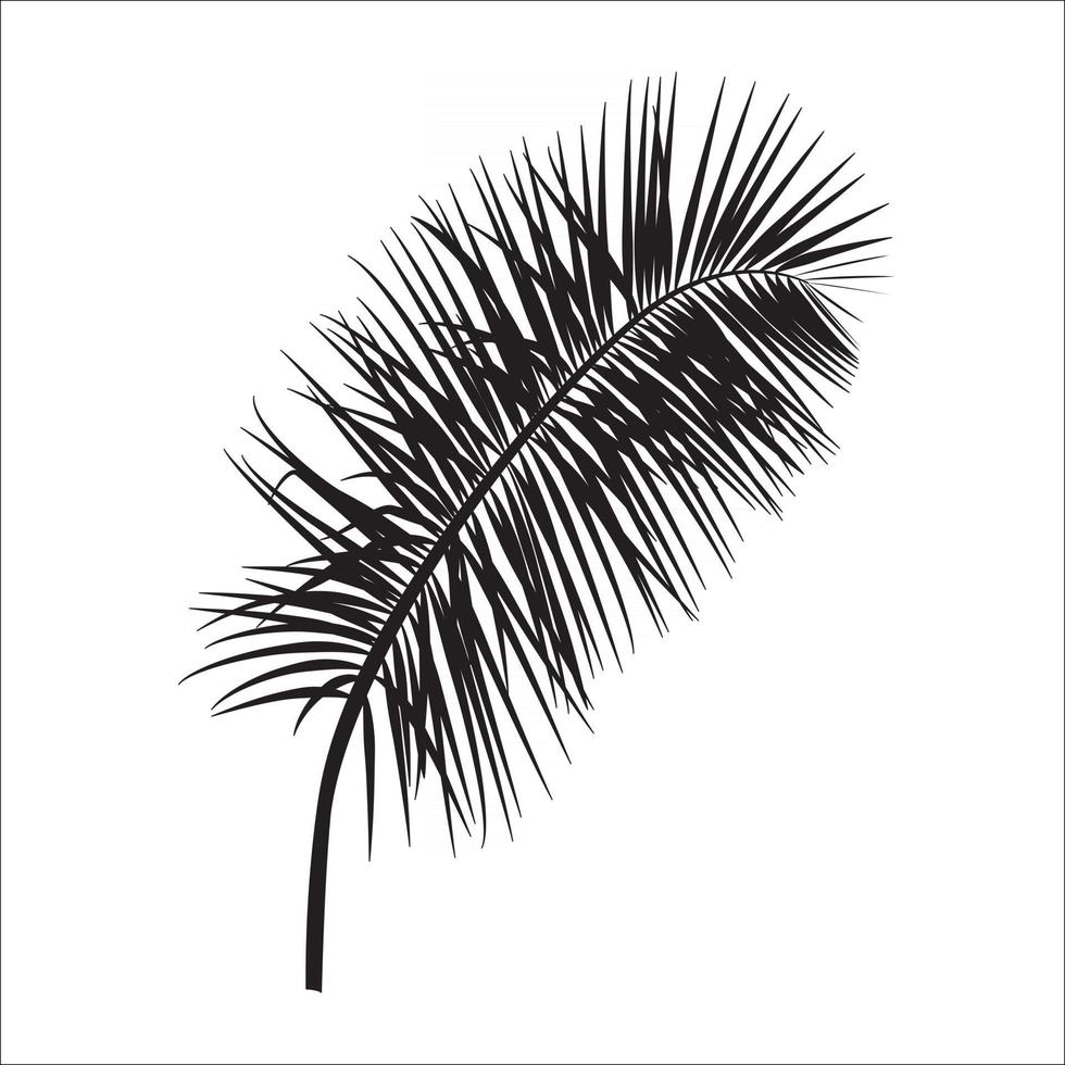 Beautifil Palm Tree Leaf  Silhouette Background Vector Illustration
